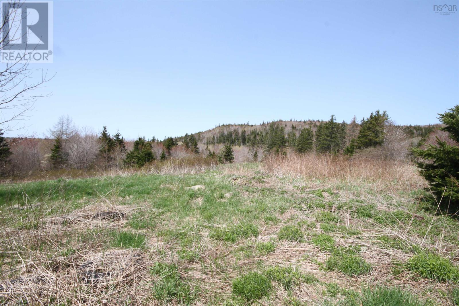 Lot 1 River Denys Mountain Road, Rear Judique, Nova Scotia  B0E 1P0 - Photo 12 - 202310676