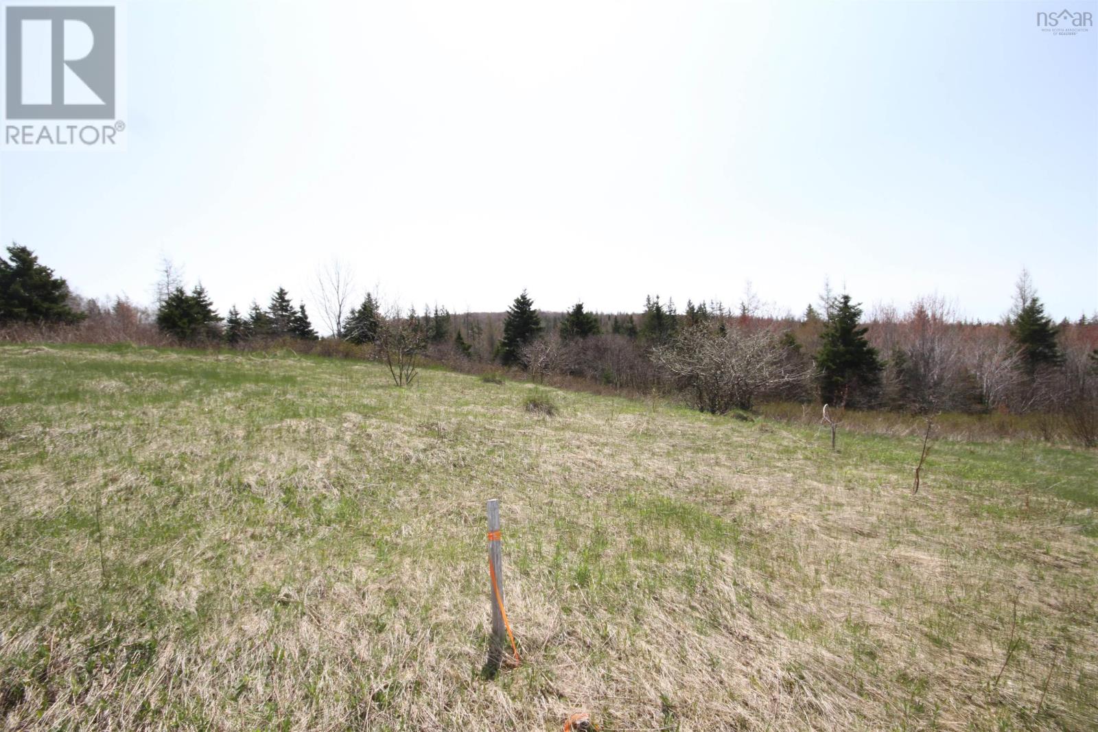 Lot 1 River Denys Mountain Road, Rear Judique, Nova Scotia  B0E 1P0 - Photo 13 - 202310676