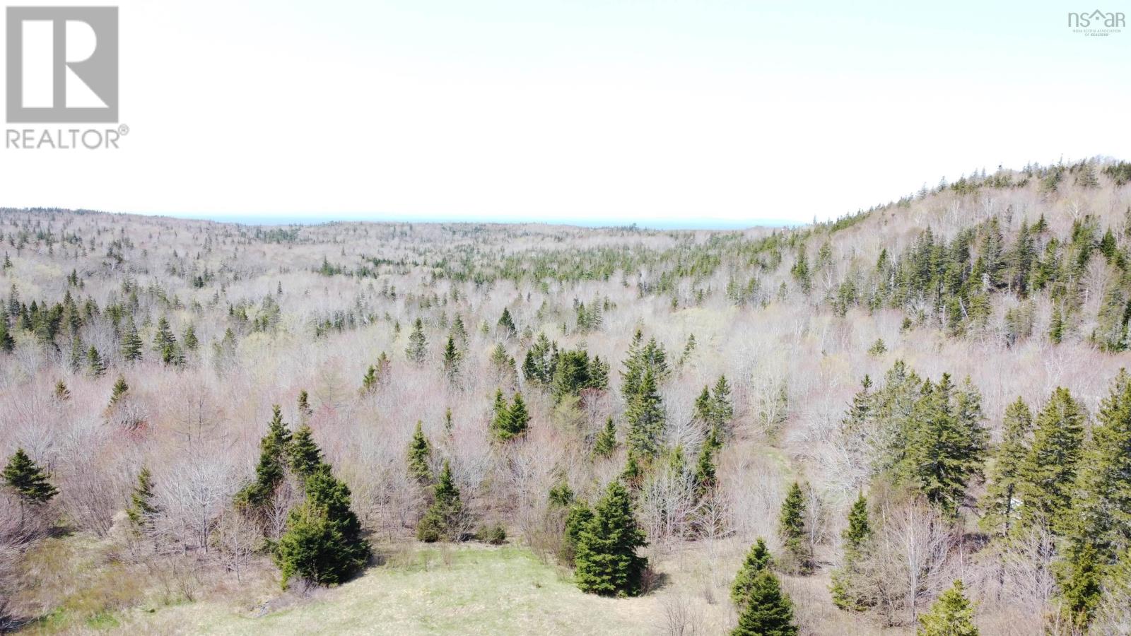 Lot 1 River Denys Mountain Road, Rear Judique, Nova Scotia  B0E 1P0 - Photo 2 - 202310676