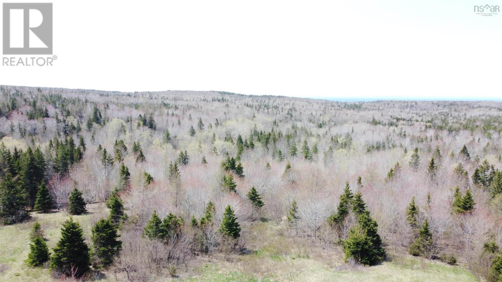 Lot 1 River Denys Mountain Road, Rear Judique, Nova Scotia  B0E 1P0 - Photo 3 - 202310676