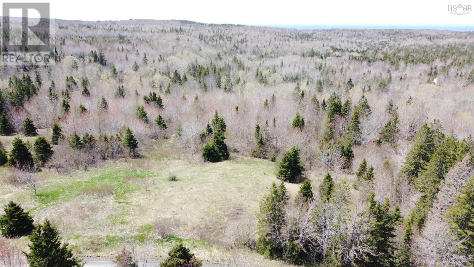 Lot 1 River Denys Mountain Road, Rear Judique, Nova Scotia  B0E 1P0 - Photo 5 - 202310676