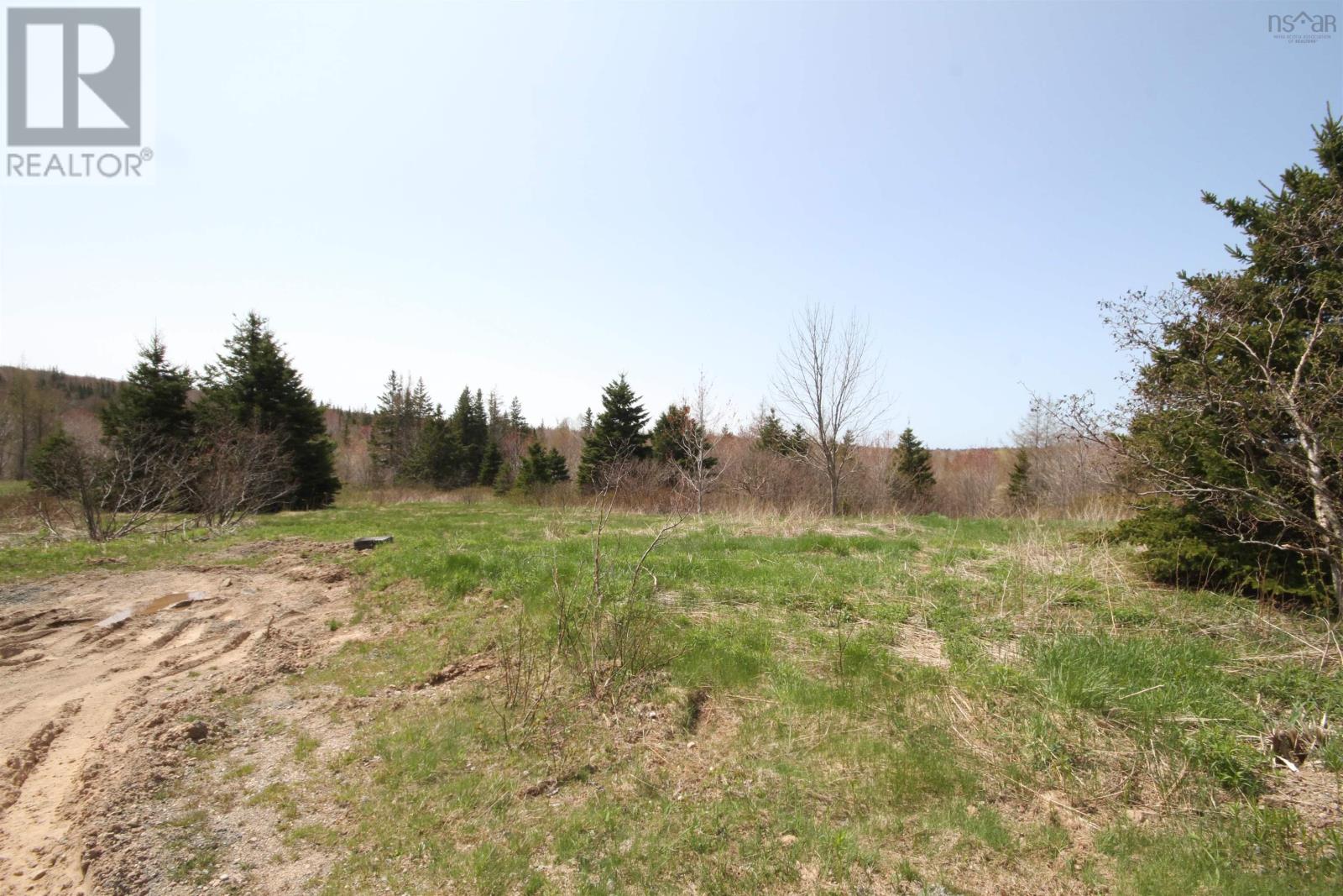 Lot 1 River Denys Mountain Road, Rear Judique, Nova Scotia  B0E 1P0 - Photo 8 - 202310676