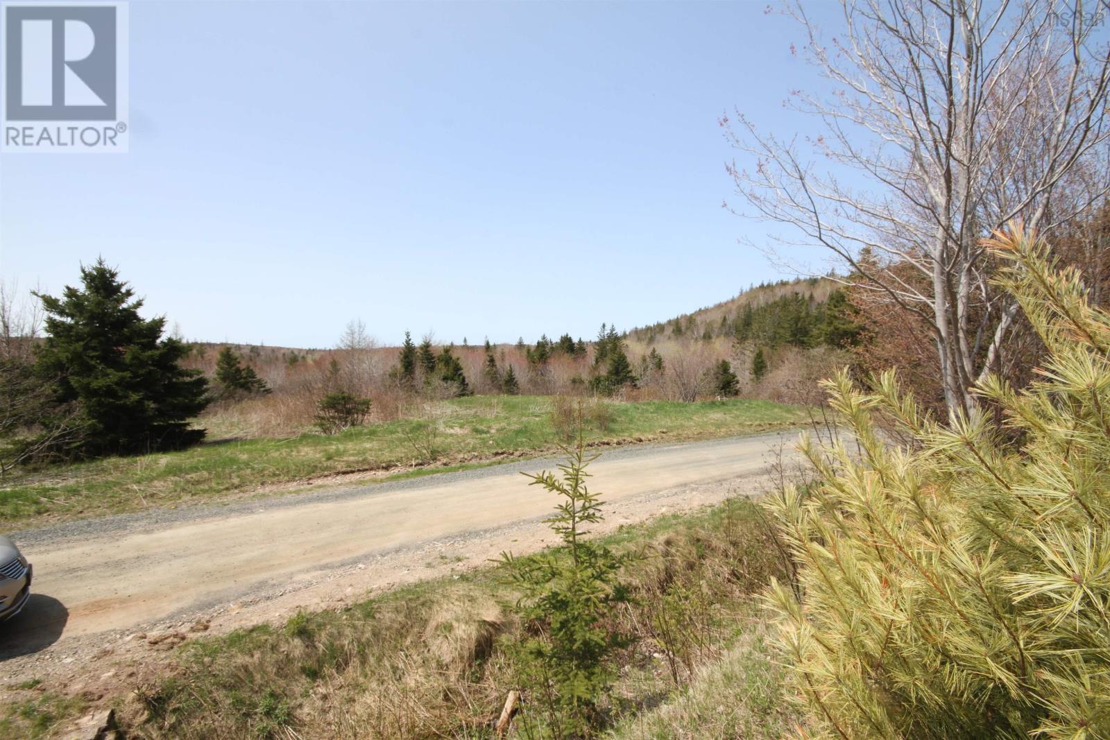 Lot 1 River Denys Mountain Road, Rear Judique, Nova Scotia  B0E 1P0 - Photo 9 - 202310676