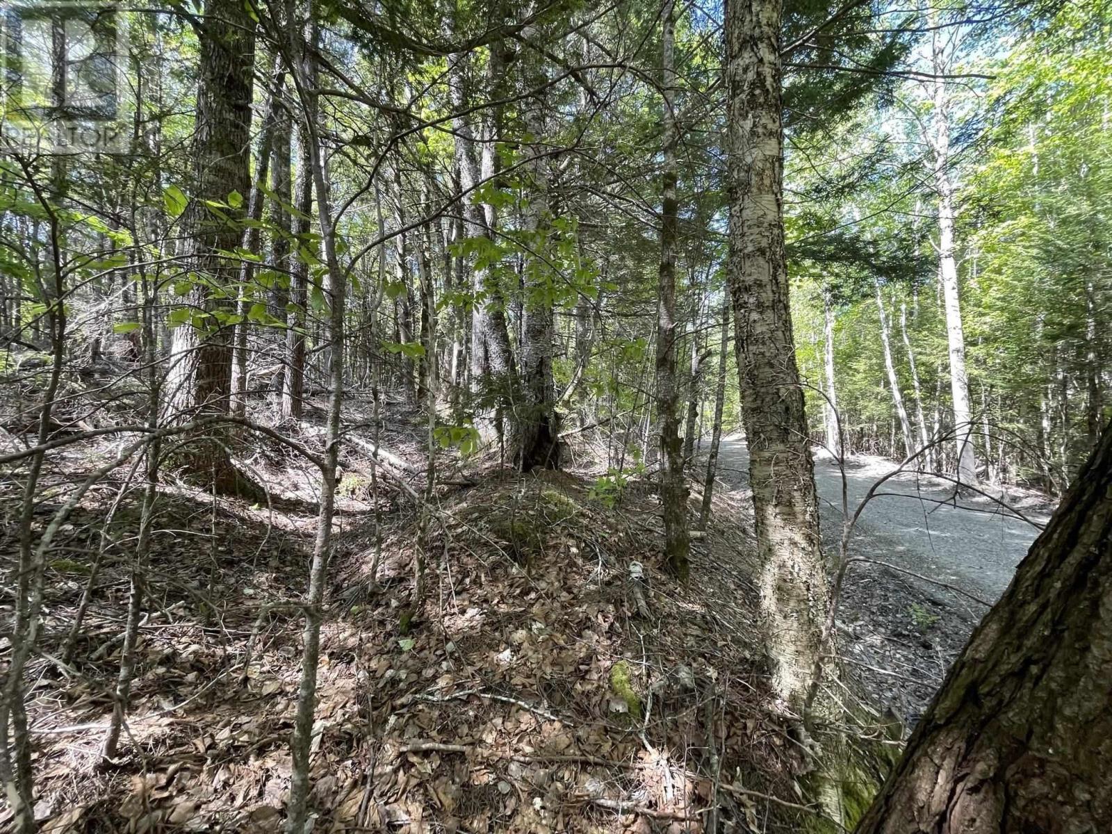 Lot 36 Beaver Dam Crossover, Labelle, Nova Scotia  B0T 1E0 - Photo 14 - 202311296