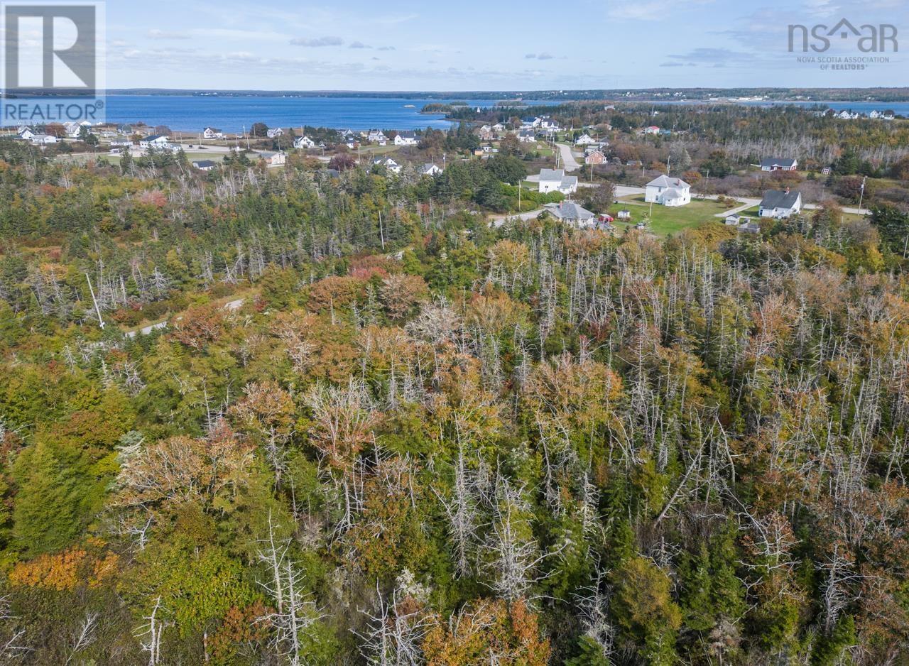 Lot Pond Road, Lower West Pubnico, Nova Scotia  B0W 2C0 - Photo 6 - 202312070