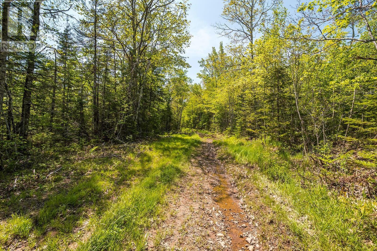 Lot Old Post Road, Enfield, Nova Scotia  B2T 1E2 - Photo 41 - 202312090