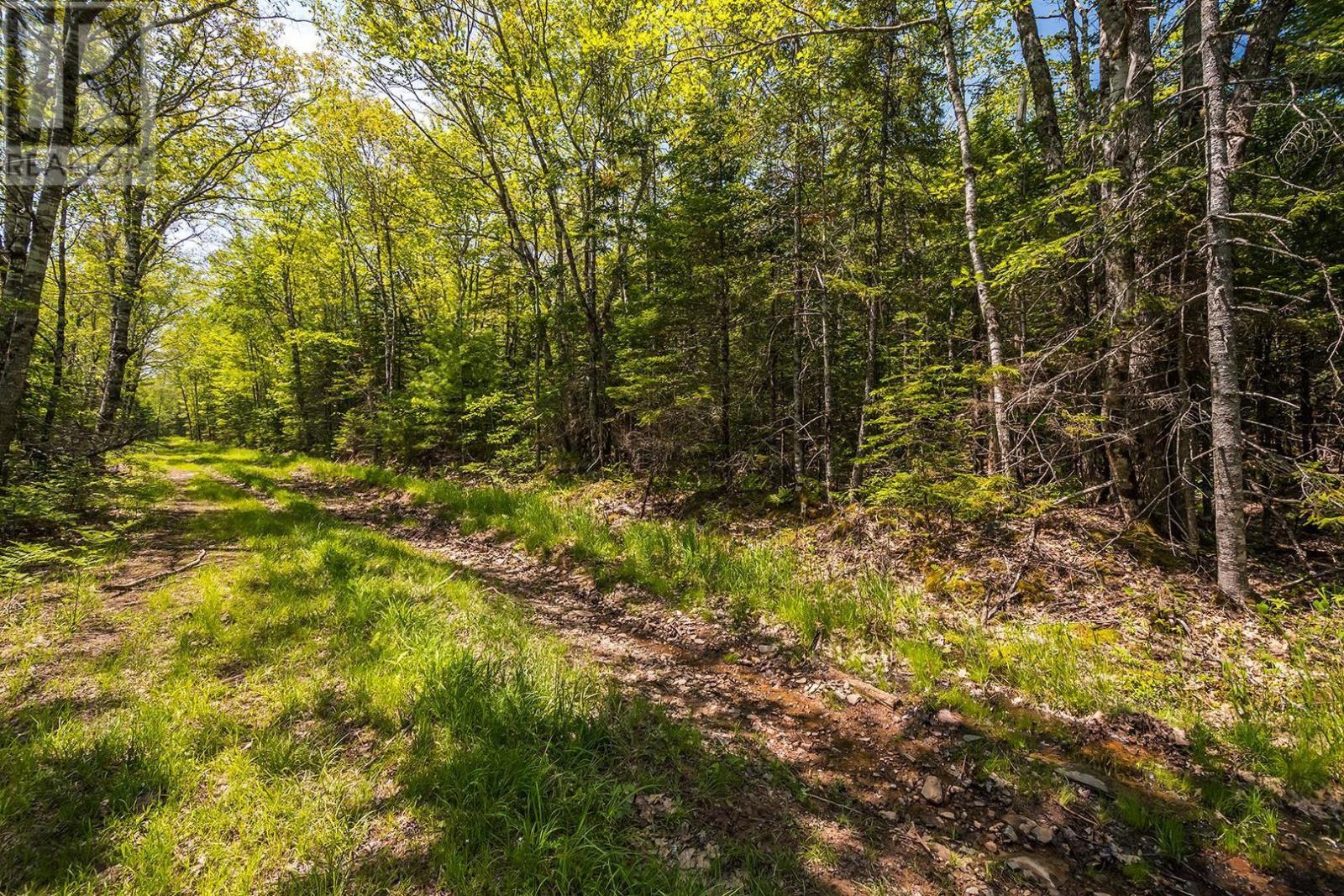 Lot Old Post Road, Enfield, Nova Scotia  B2T 1E2 - Photo 43 - 202312090