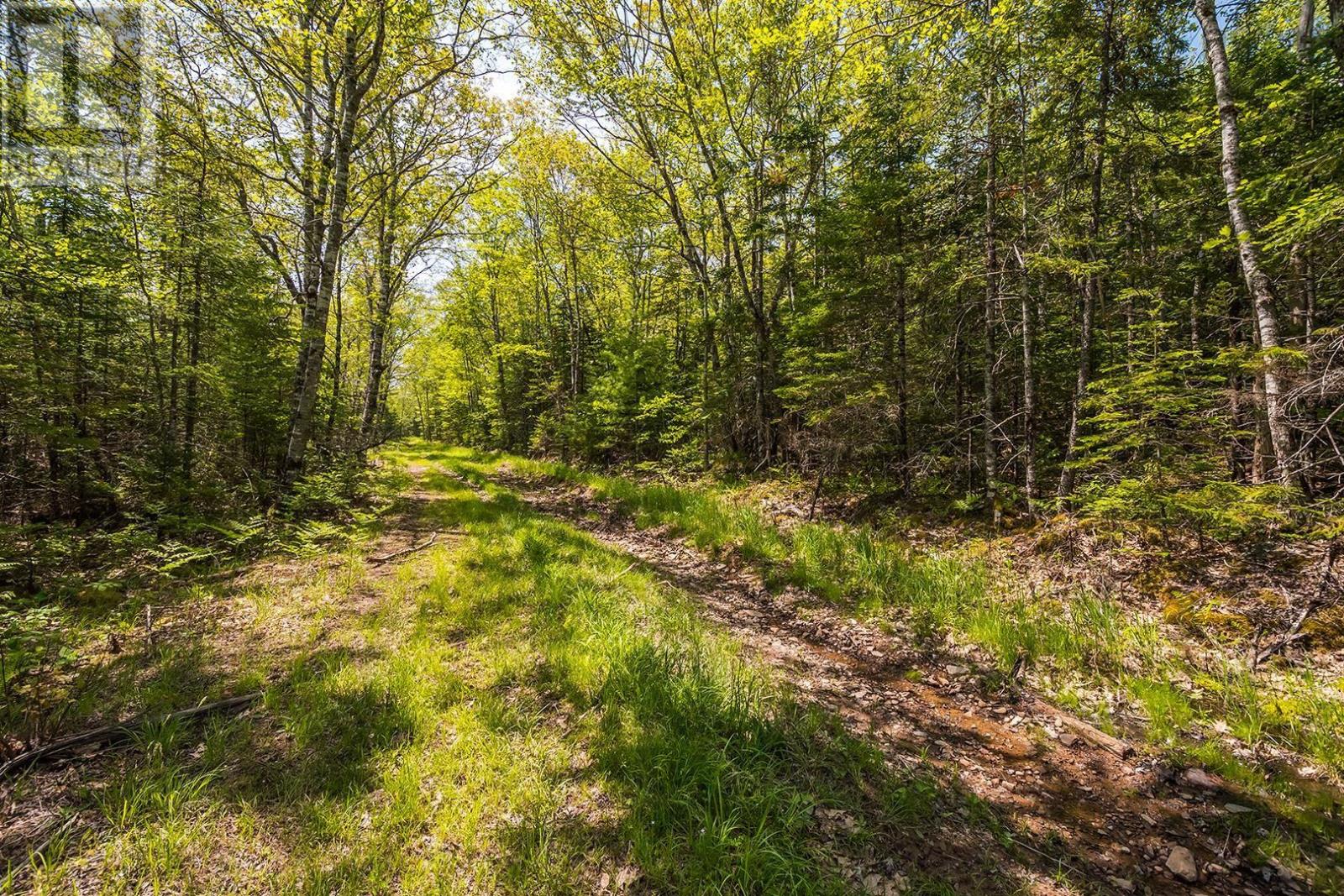 Lot Old Post Road, Enfield, Nova Scotia  B2T 1E2 - Photo 44 - 202312090