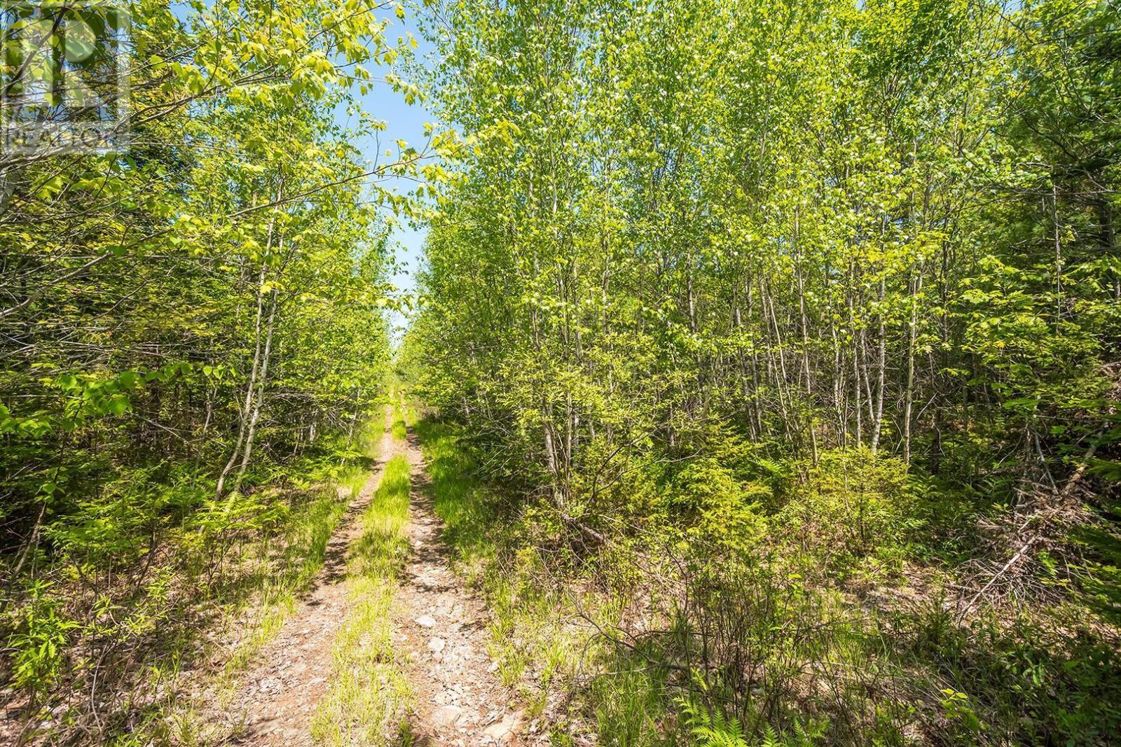 Lot Old Post Road, Enfield, Nova Scotia  B2T 1E2 - Photo 46 - 202312090