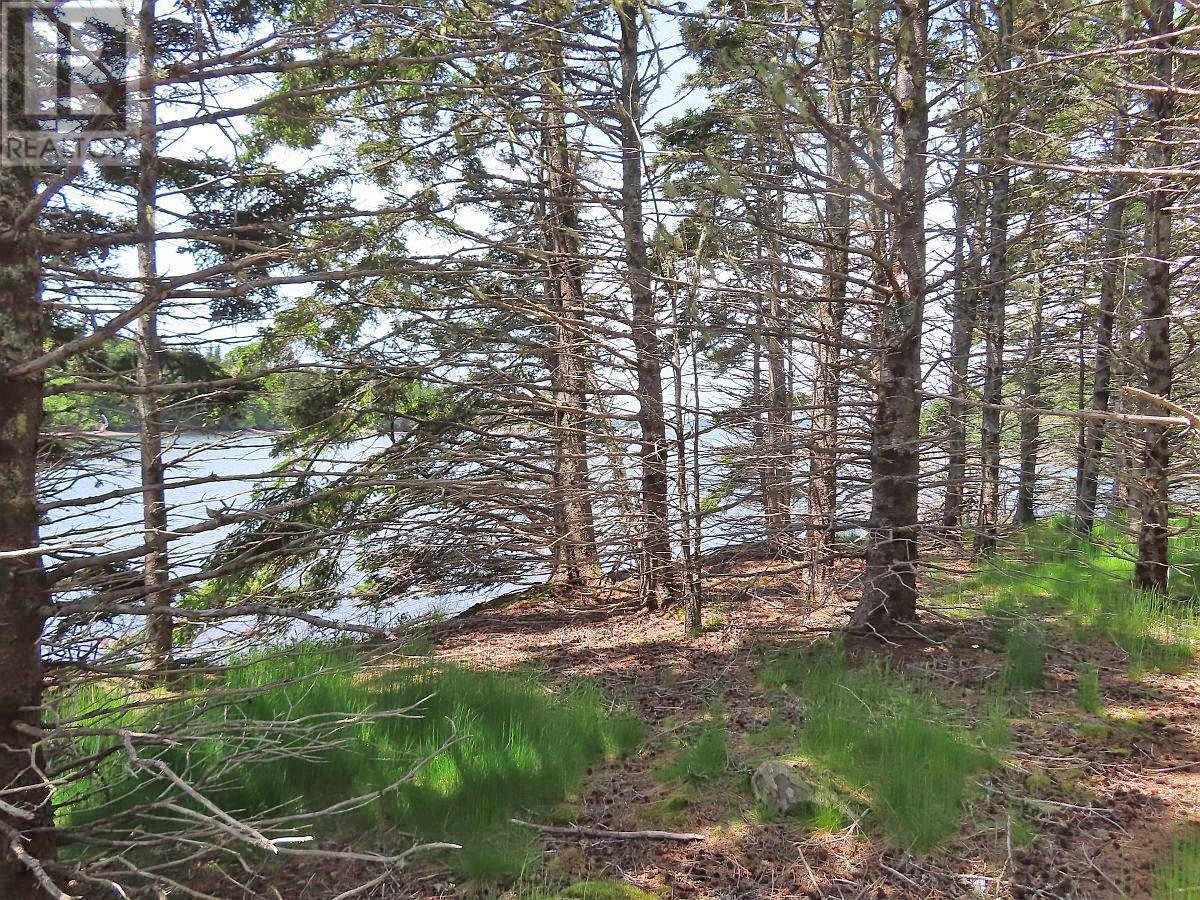 9.9 Acres Grand Greve Road, Grande Greve, Nova Scotia  B0E 3B0 - Photo 13 - 202312289