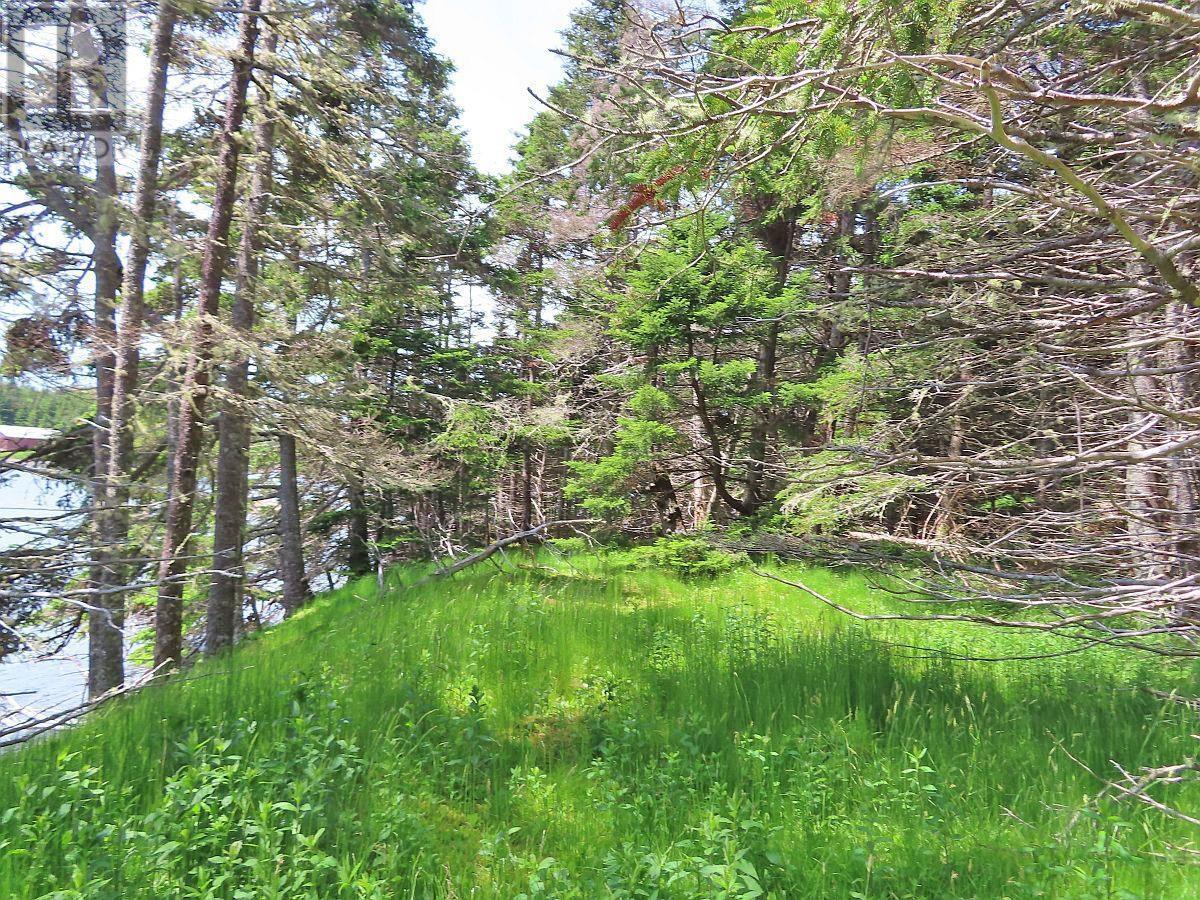 9.9 Acres Grand Greve Road, Grande Greve, Nova Scotia  B0E 3B0 - Photo 15 - 202312289