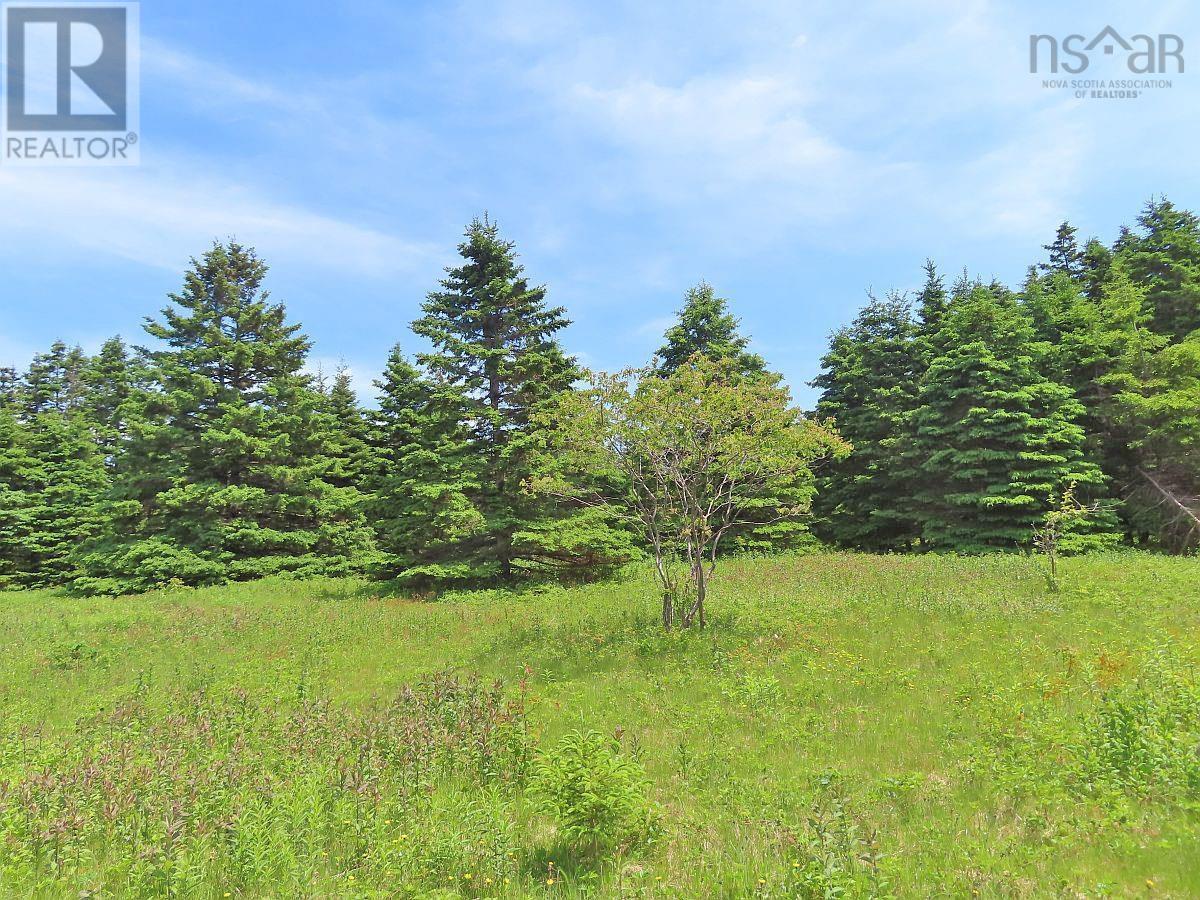 9.9 Acres Grand Greve Road, Grande Greve, Nova Scotia  B0E 3B0 - Photo 17 - 202312289