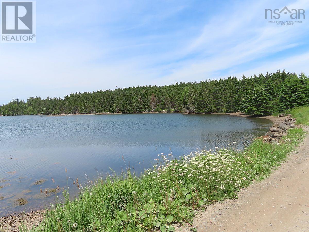 9.9 Acres Grand Greve Road, Grande Greve, Nova Scotia  B0E 3B0 - Photo 19 - 202312289