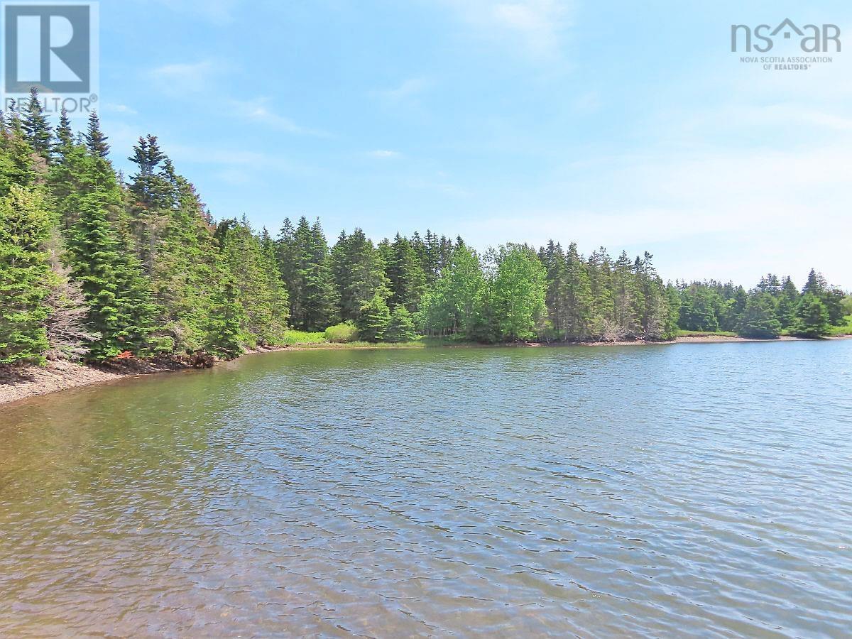 9.9 Acres Grand Greve Road, Grande Greve, Nova Scotia  B0E 3B0 - Photo 2 - 202312289