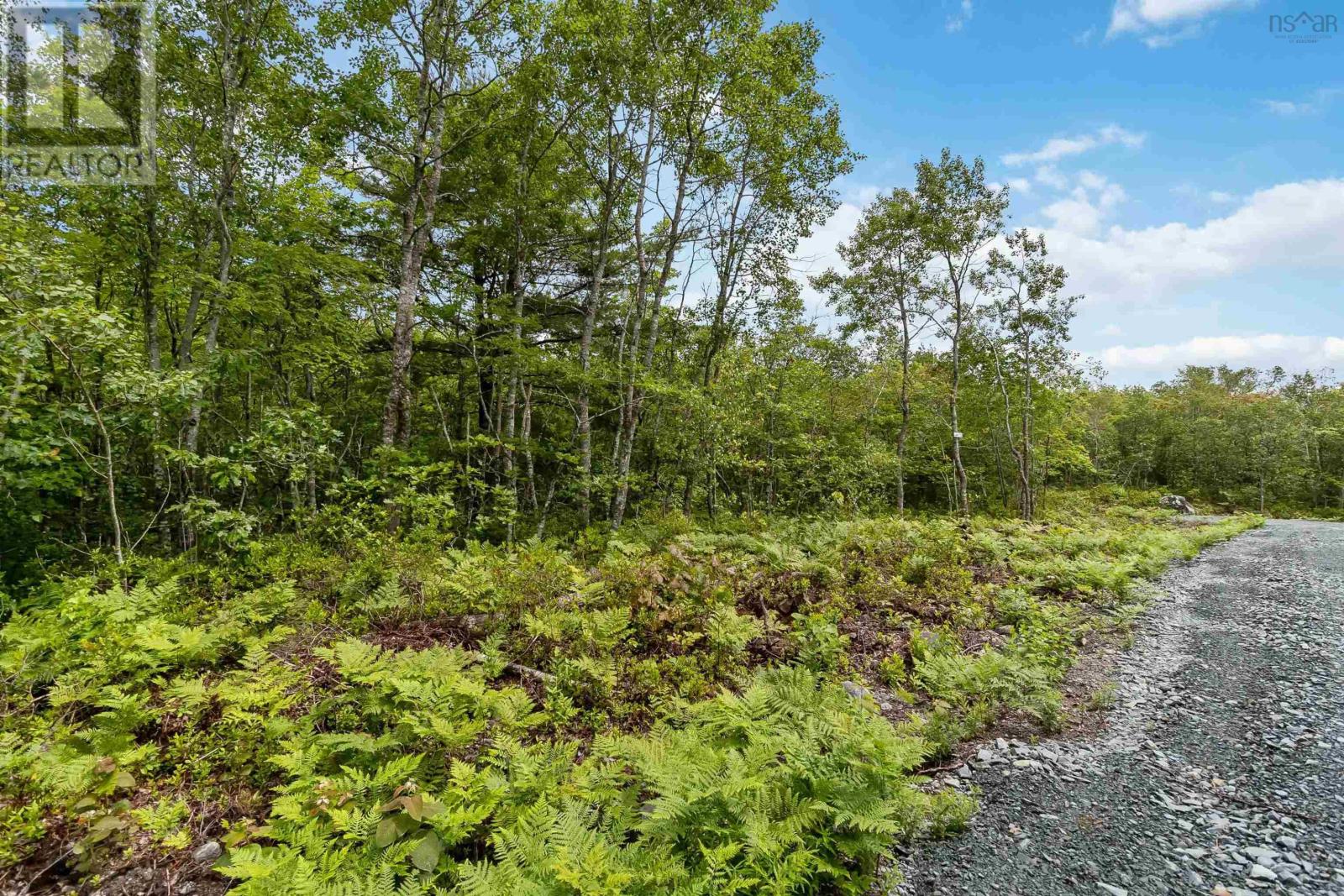 Lot 12 Maple Ridge Drive, White Point, Nova Scotia  B0T 1K0 - Photo 14 - 202315158