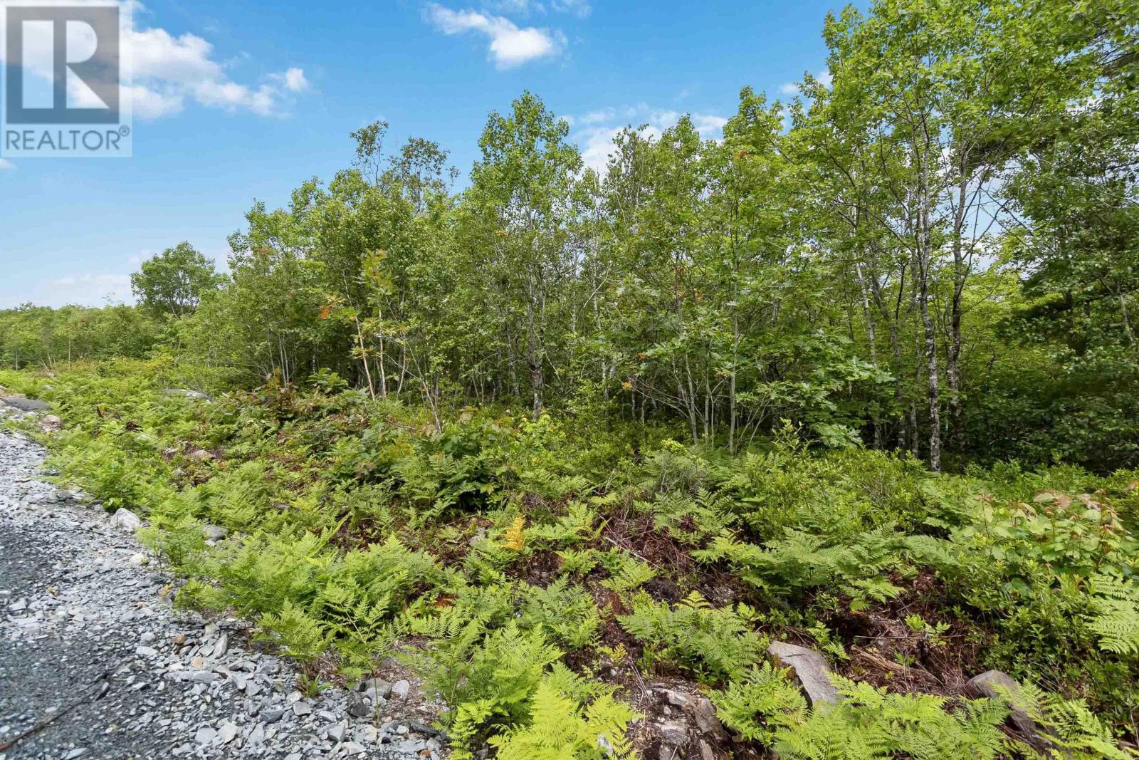 Lot 12 Maple Ridge Drive, White Point, Nova Scotia  B0T 1K0 - Photo 15 - 202315158