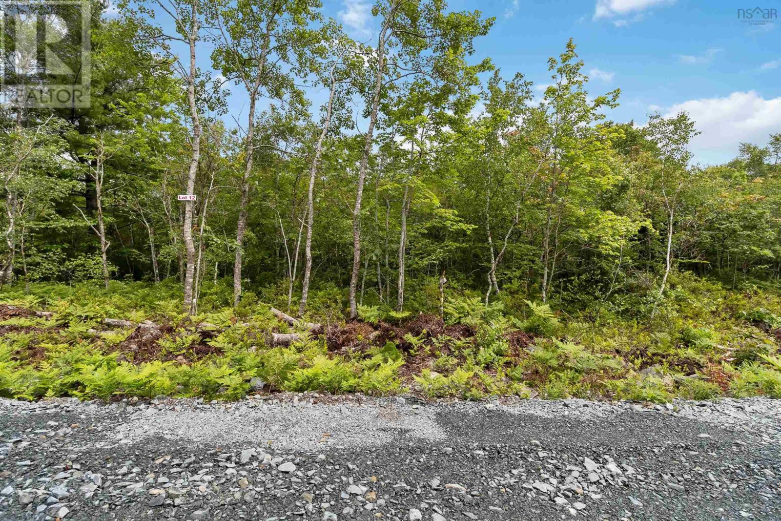 Lot 12 Maple Ridge Drive, White Point, Nova Scotia  B0T 1K0 - Photo 4 - 202315158