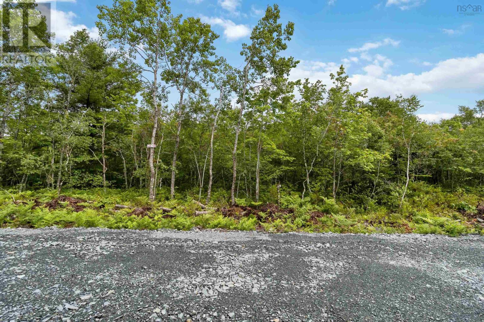 Lot 12 Maple Ridge Drive, White Point, Nova Scotia  B0T 1K0 - Photo 6 - 202315158