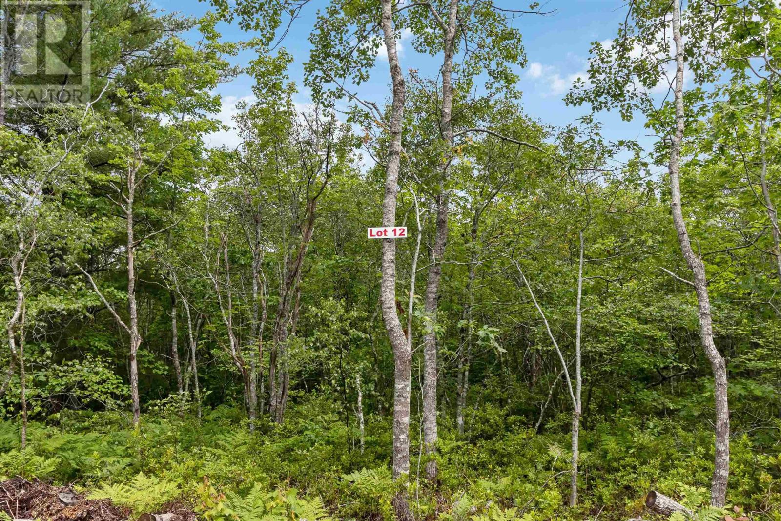 Lot 12 Maple Ridge Drive, White Point, Nova Scotia  B0T 1K0 - Photo 7 - 202315158