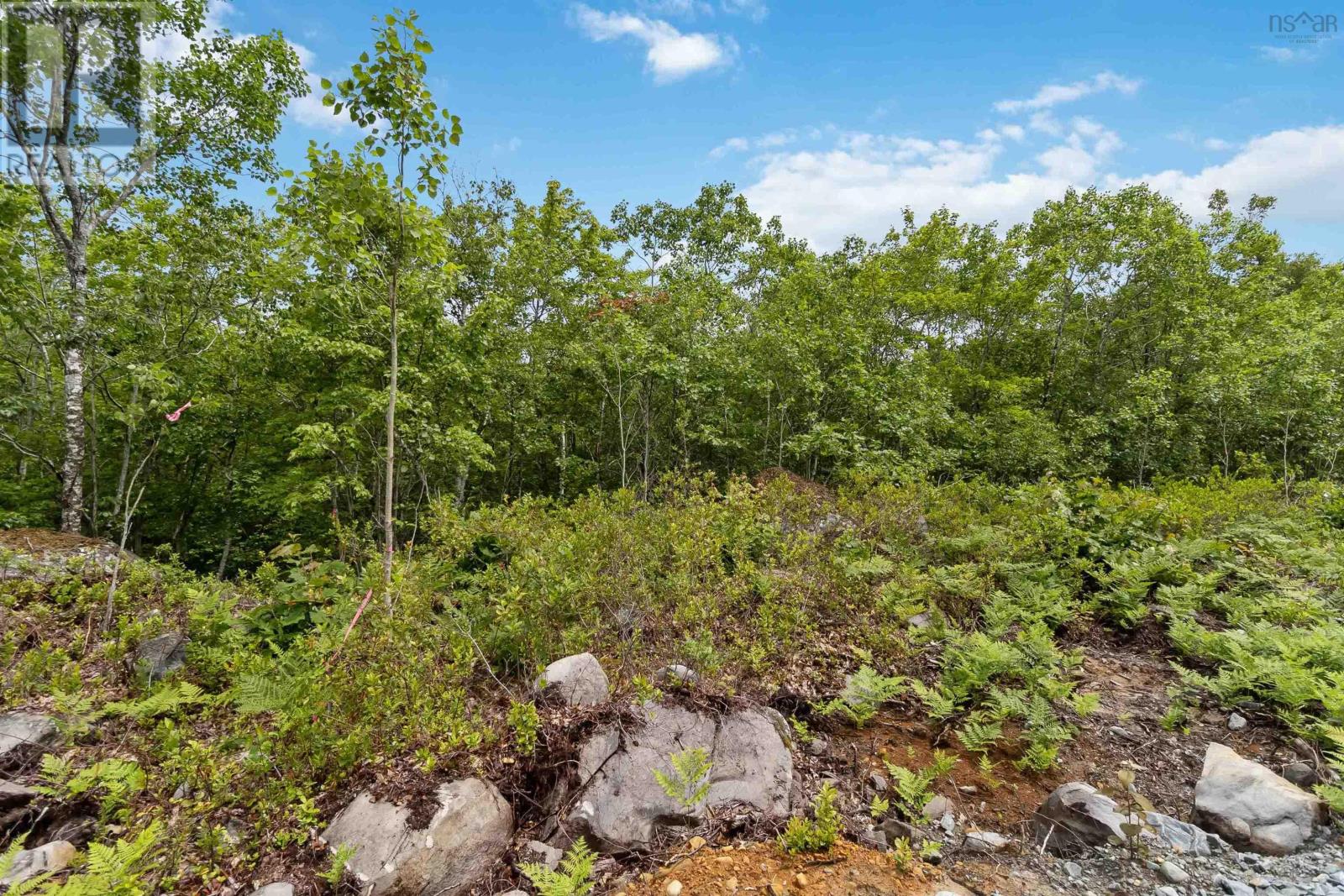 Lot 7 Maple Ridge Drive, White Point, Nova Scotia  B0T 1K0 - Photo 16 - 202315168