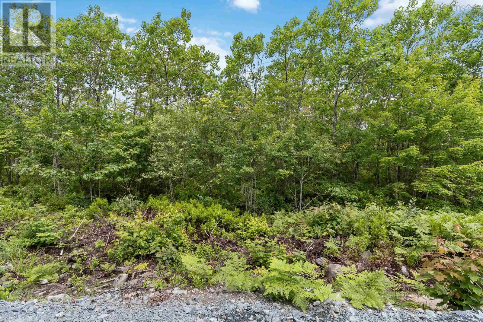 Lot 7 Maple Ridge Drive, White Point, Nova Scotia  B0T 1K0 - Photo 19 - 202315168