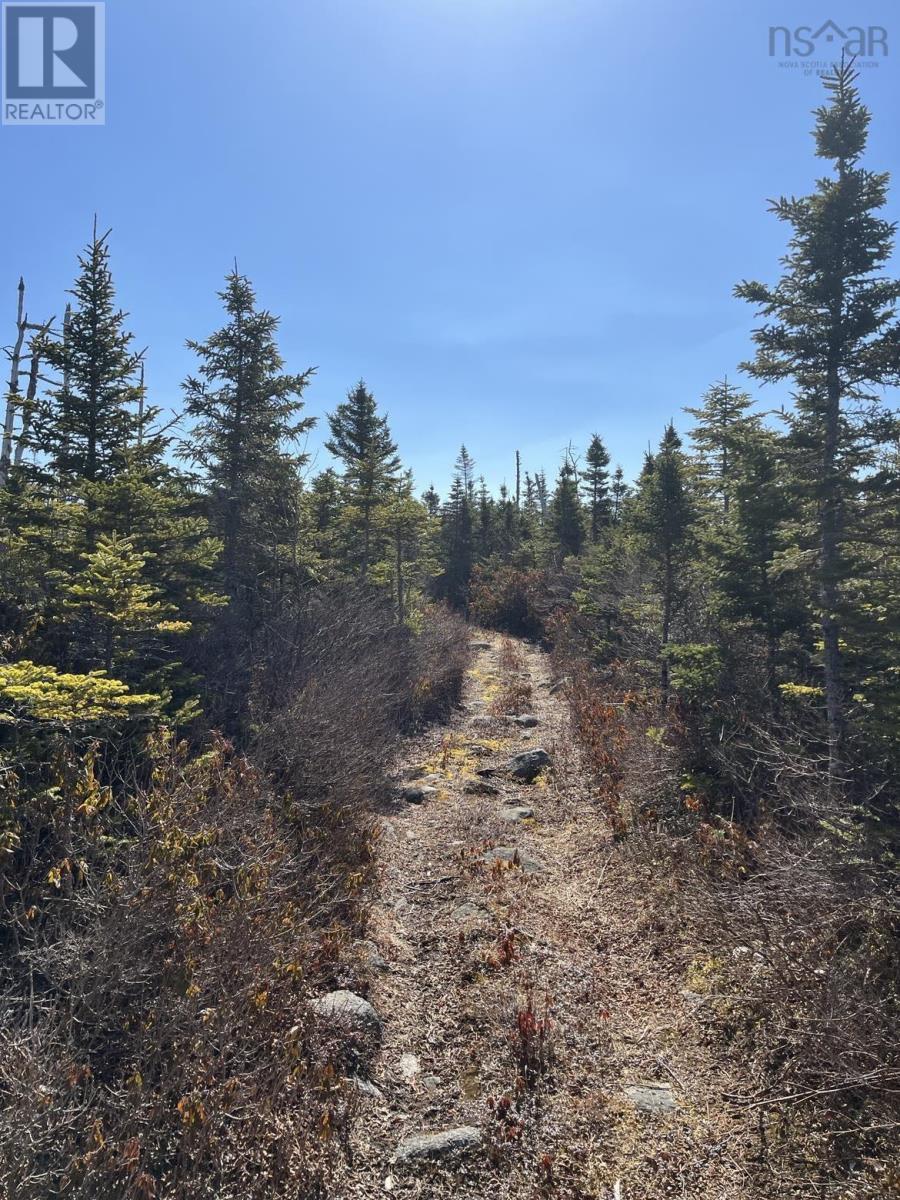 LOT Bald Rock Road, bald rock, Nova Scotia