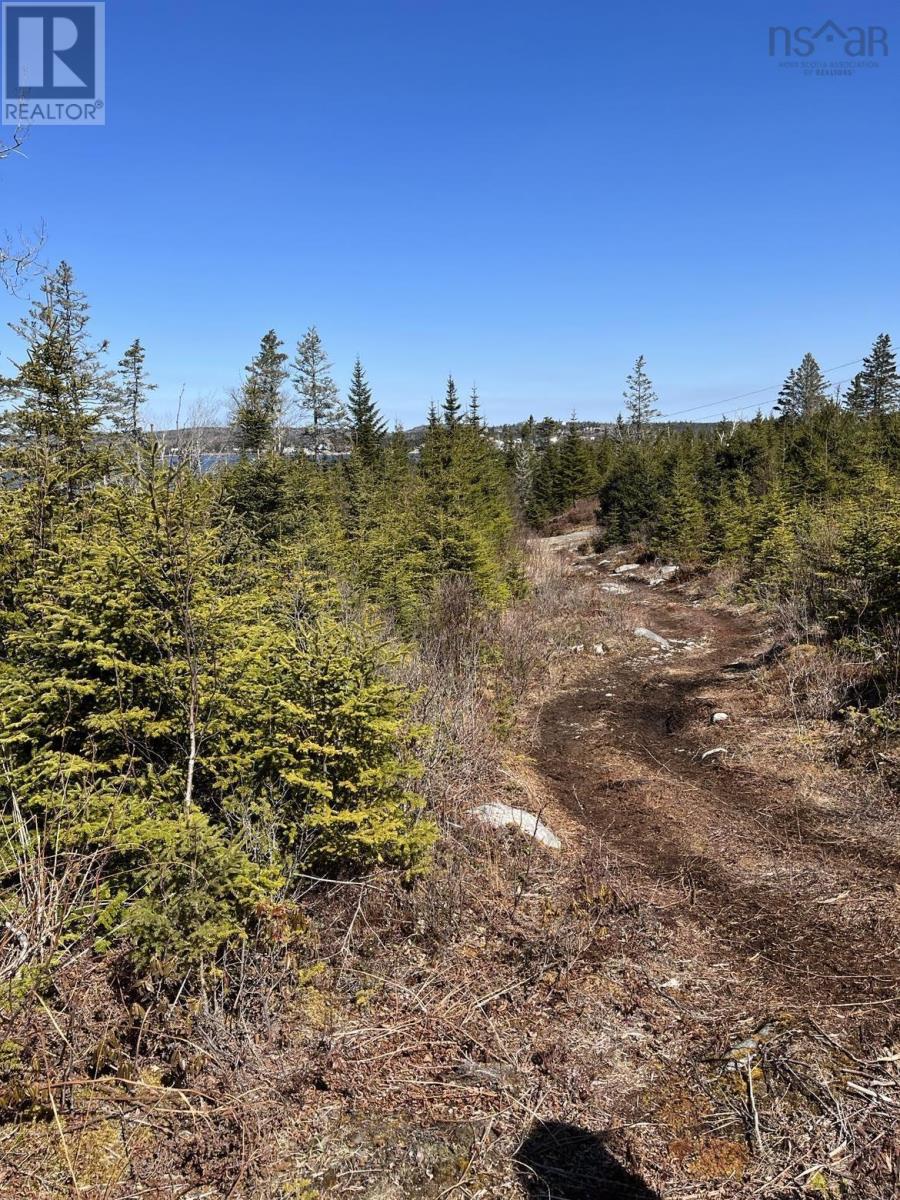 Lot Bald Rock Road, Bald Rock, Nova Scotia  B3V 1K9 - Photo 12 - 202315285