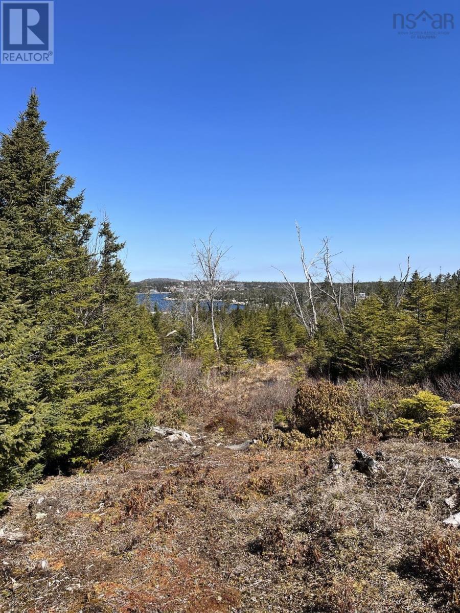 Lot Bald Rock Road, Bald Rock, Nova Scotia  B3V 1K9 - Photo 14 - 202315285