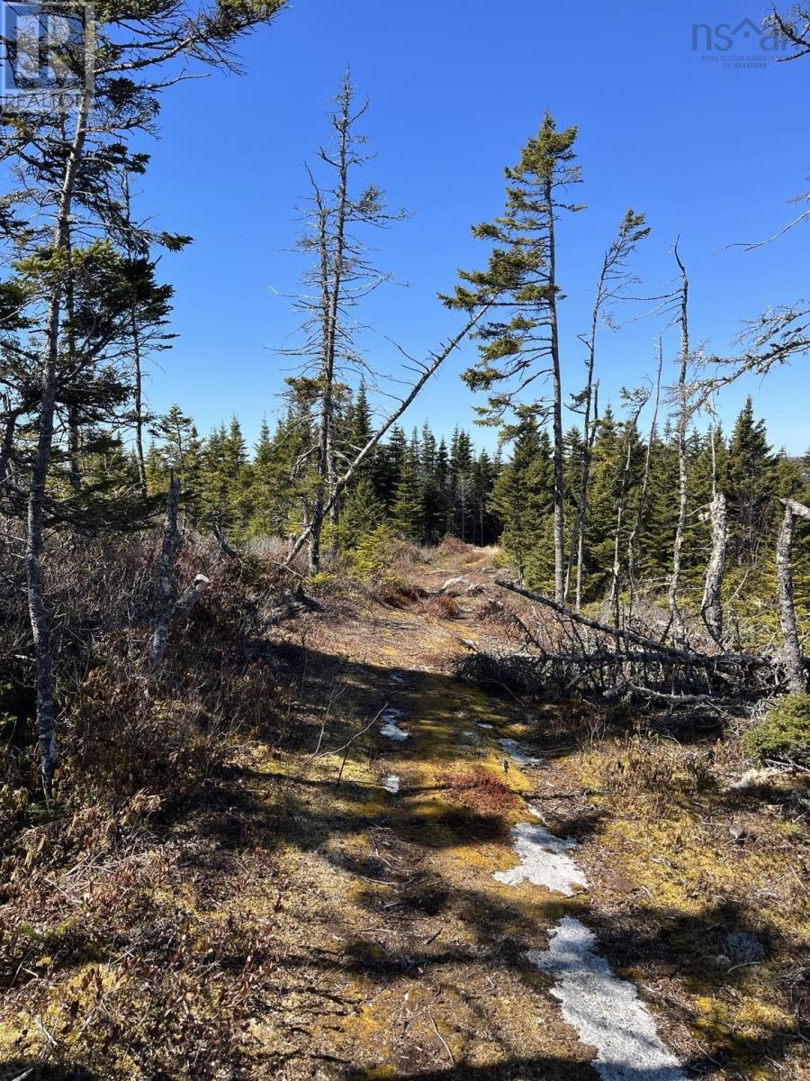 Lot Bald Rock Road, Bald Rock, Nova Scotia  B3V 1K9 - Photo 15 - 202315285