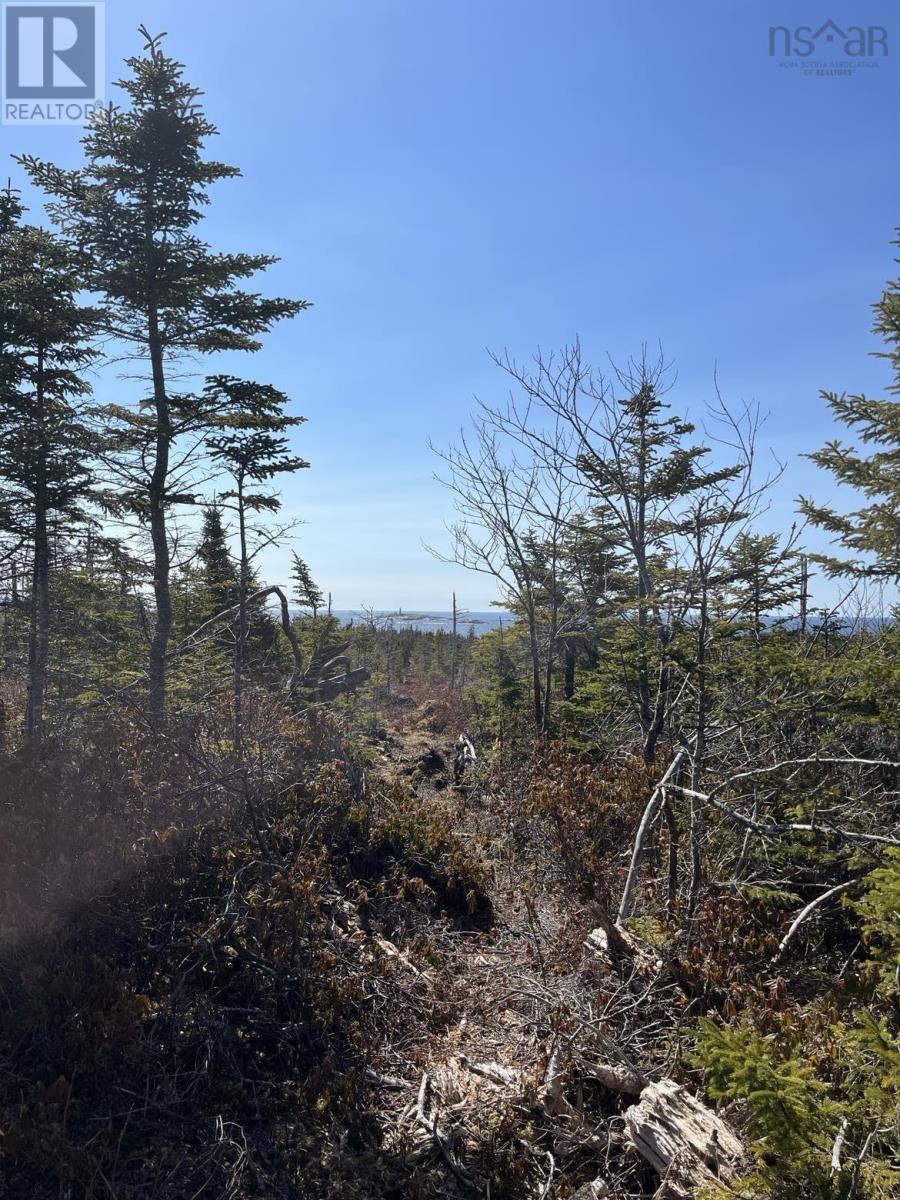 Lot Bald Rock Road, Bald Rock, Nova Scotia  B3V 1K9 - Photo 16 - 202315285