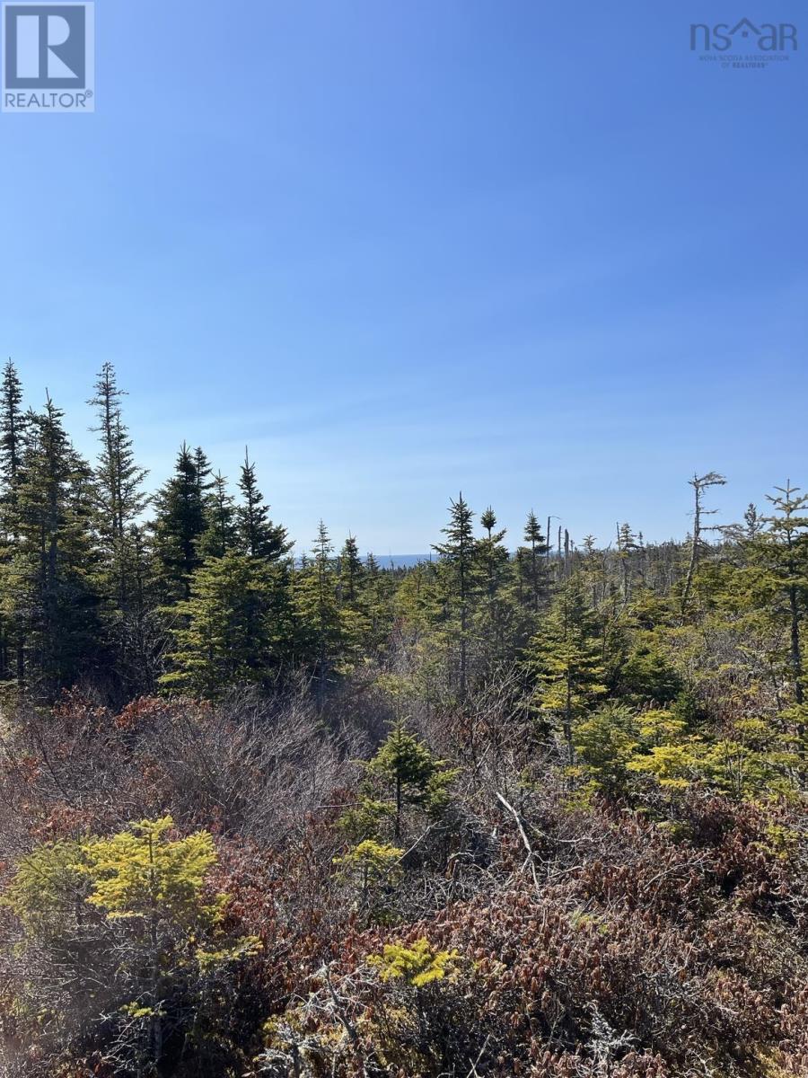 Lot Bald Rock Road, Bald Rock, Nova Scotia  B3V 1K9 - Photo 17 - 202315285