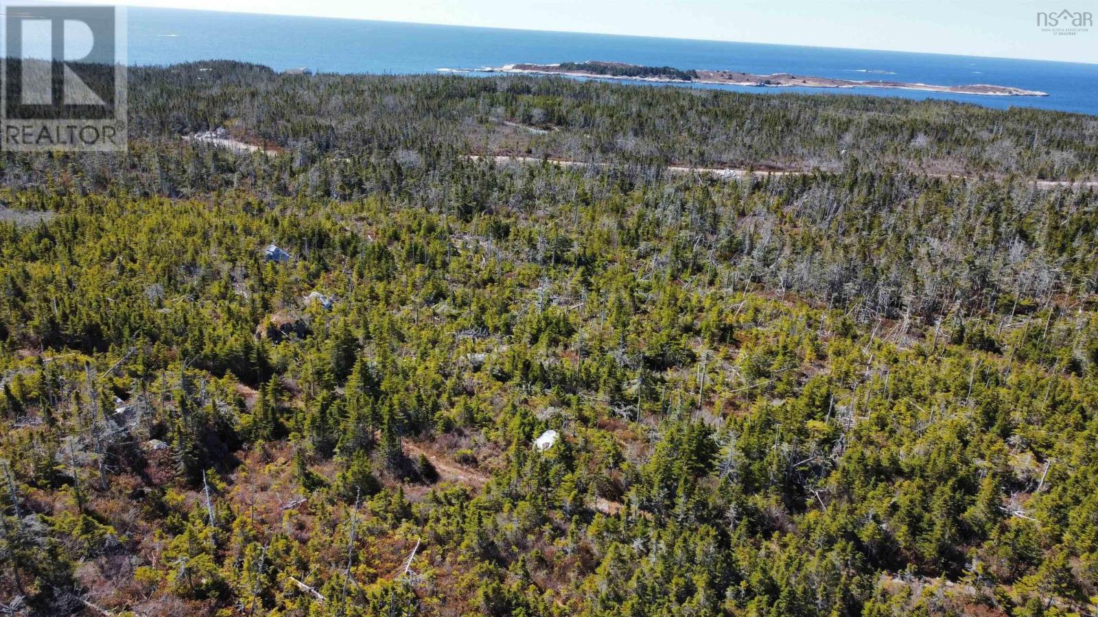 Lot Bald Rock Road, Bald Rock, Nova Scotia  B3V 1K9 - Photo 21 - 202315285