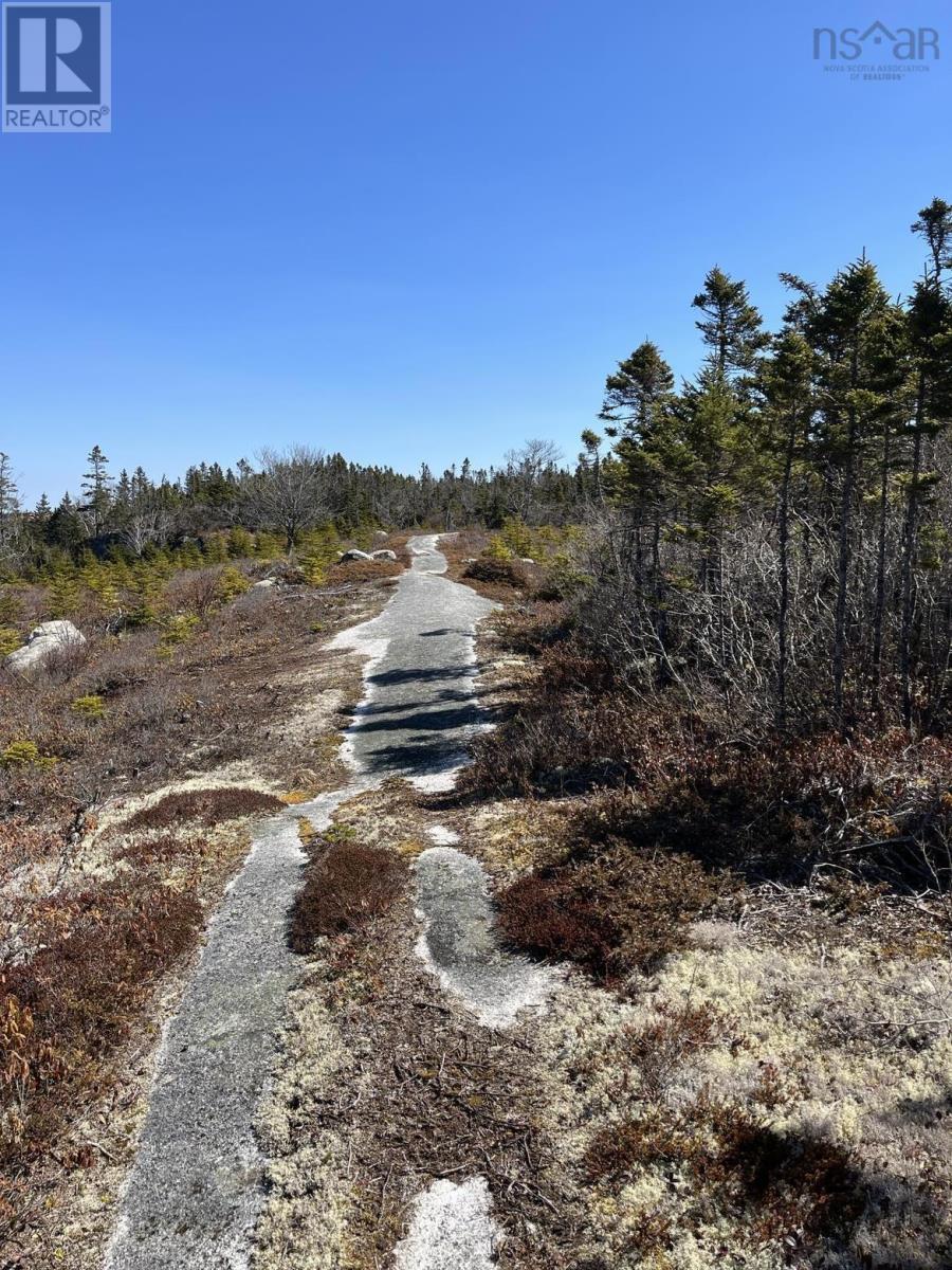 Lot Bald Rock Road, Bald Rock, Nova Scotia  B3V 1K9 - Photo 6 - 202315285