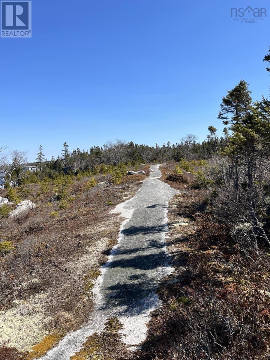 Lot Bald Rock Road, Bald Rock, Nova Scotia  B3V 1K9 - Photo 7 - 202315285