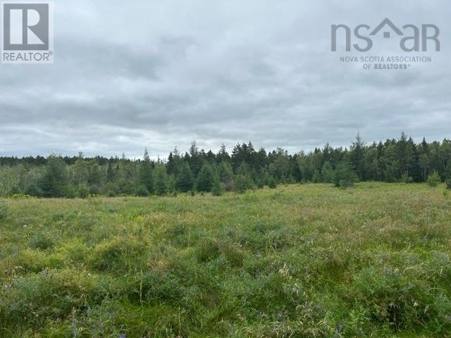 186 Fox Ranch Road, East Amherst, Nova Scotia  B4H 3Y3 - Photo 6 - 202316778