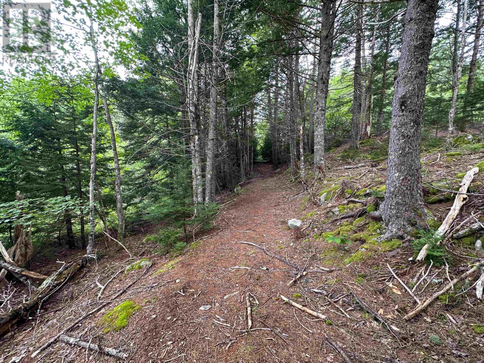 Lot Narrows Road, Labelle, Nova Scotia  B0T 1T0 - Photo 9 - 202317499