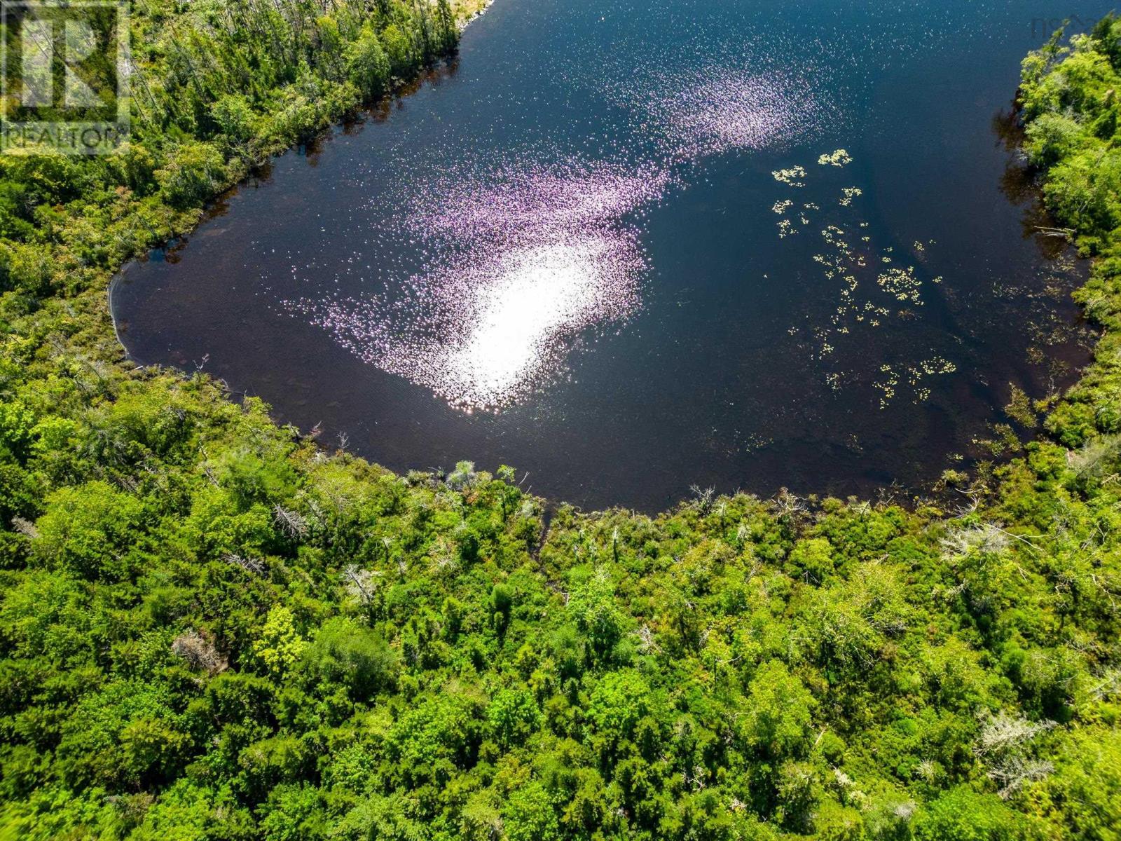 Lot Bonnie Road, Meteghan, Nova Scotia  B0W 2J0 - Photo 6 - 202317961