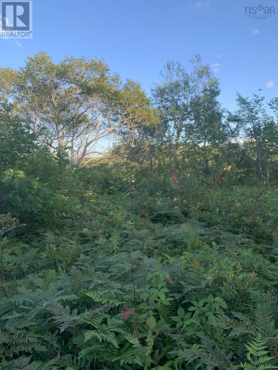 Vacant Lot Memorial Drive, Sydney Mines, Nova Scotia  B2A 0A0 - Photo 2 - 202318466