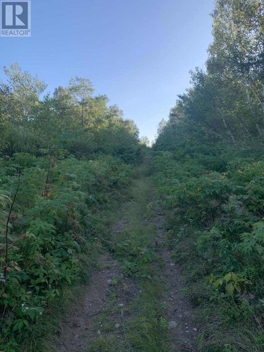 Vacant Lot Memorial Drive, Sydney Mines, Nova Scotia  B2A 0A0 - Photo 4 - 202318466