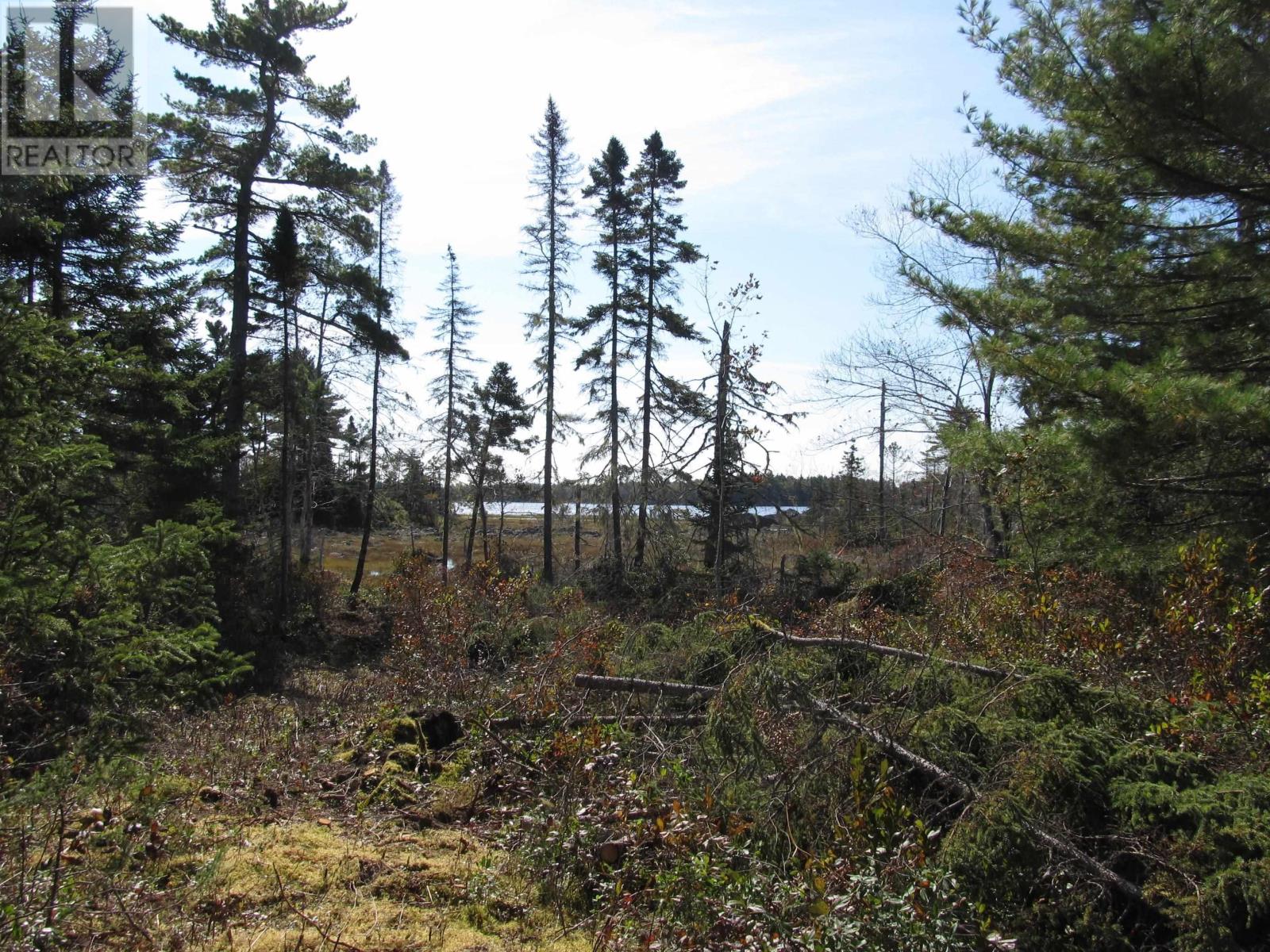 Lot 1-23 Hwy 331, Mill Village, Nova Scotia  B0J 2H0 - Photo 11 - 202319322