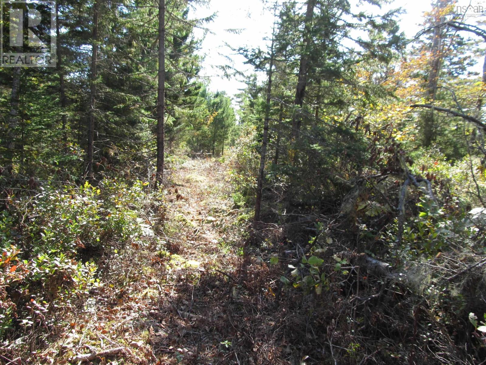 Lot 1-23 Hwy 331, Mill Village, Nova Scotia  B0J 2H0 - Photo 14 - 202319322