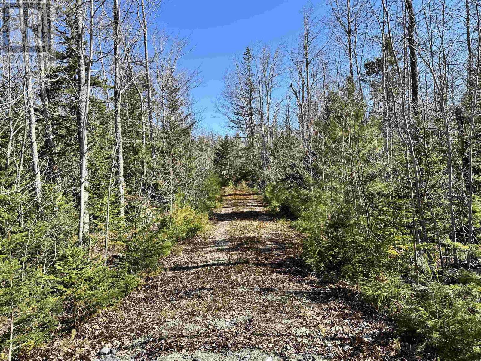 Lot 1-23 Hwy 331, Mill Village, Nova Scotia  B0J 2H0 - Photo 23 - 202319322