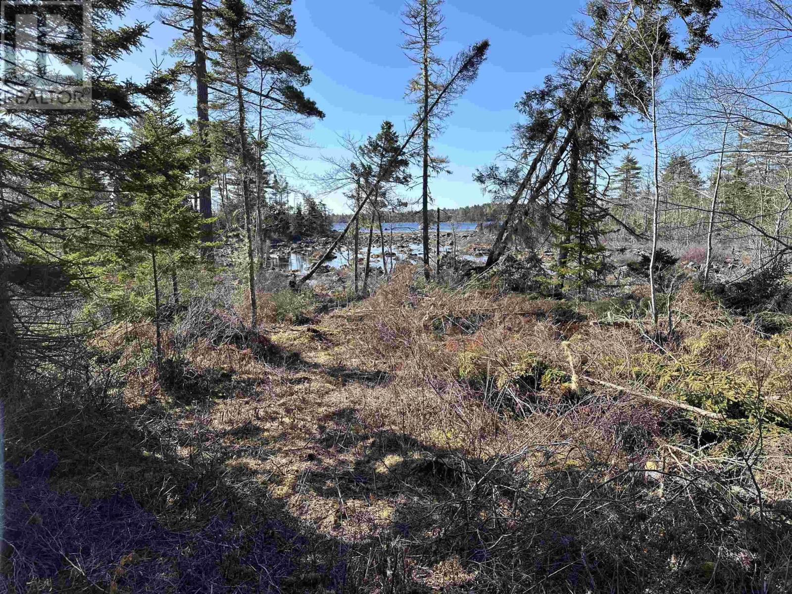 Lot 1-23 Hwy 331, Mill Village, Nova Scotia  B0J 2H0 - Photo 26 - 202319322