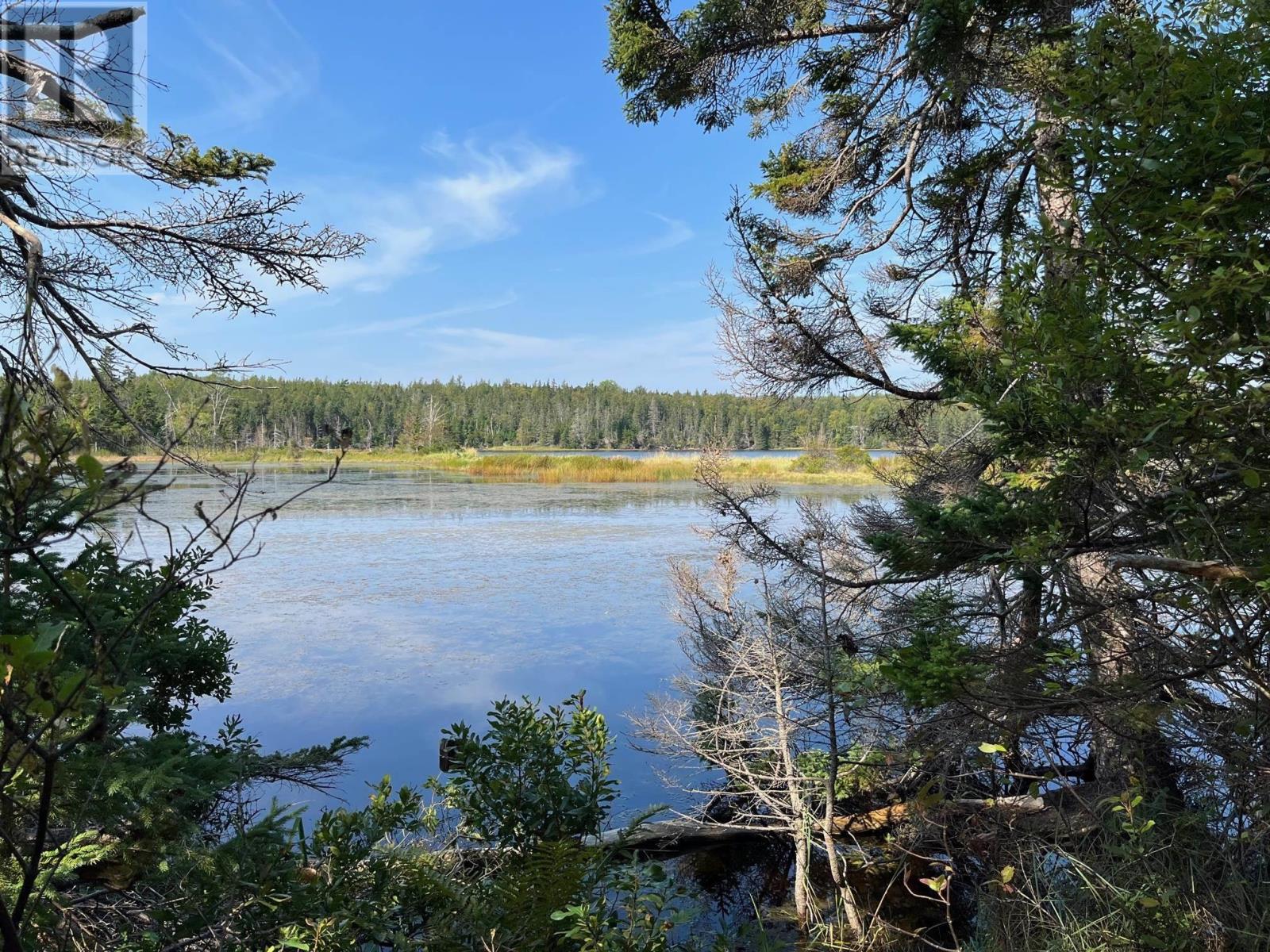 3552 Washabuck Road, Upper Washabuck, Nova Scotia  B2C 1M2 - Photo 20 - 202320113