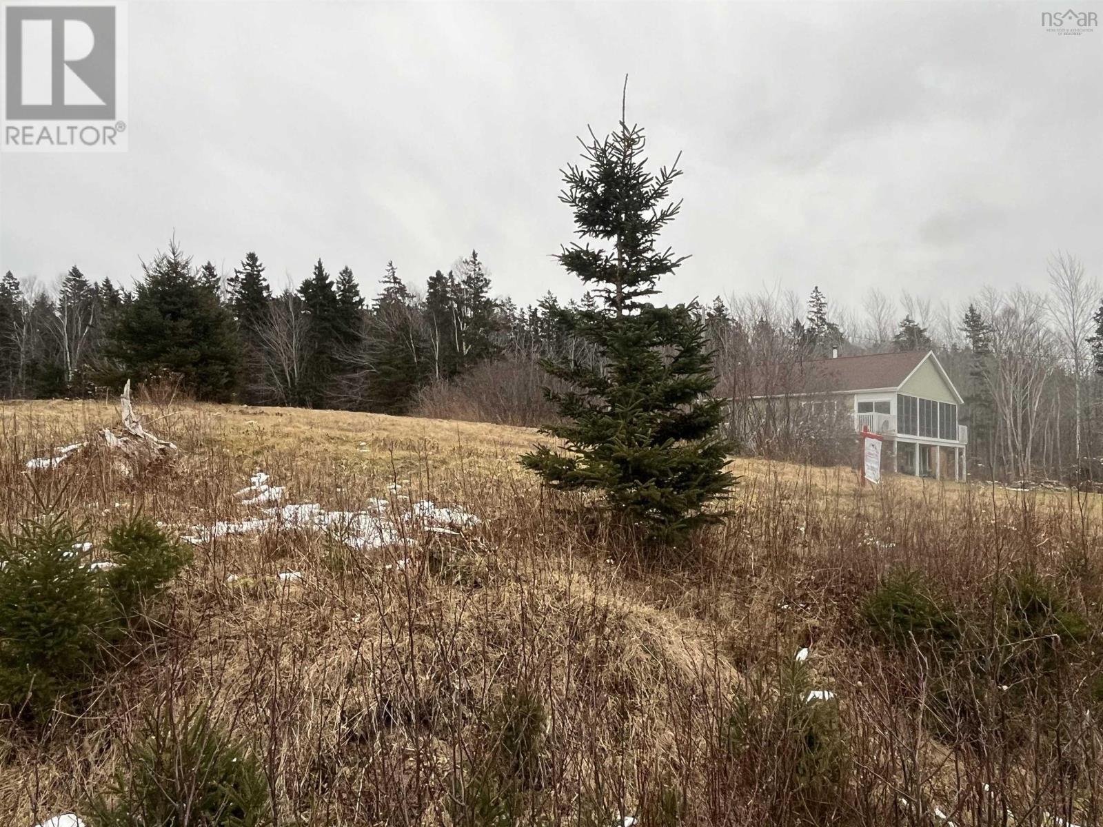 Lot 7 Macleod Pond Road, Roberta, Nova Scotia  B0E 3K0 - Photo 11 - 202320315