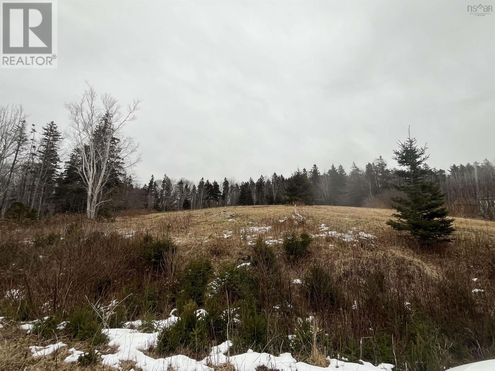 Lot 7 Macleod Pond Road, Roberta, Nova Scotia  B0E 3K0 - Photo 13 - 202320315