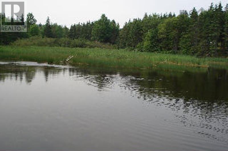 Lot 7 Macleod Pond Road, Roberta, Nova Scotia  B0E 3K0 - Photo 4 - 202320315