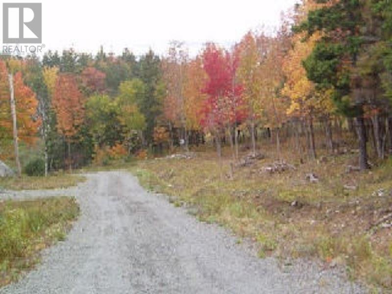 Lot 7 Macleod Pond Road, Roberta, Nova Scotia  B0E 3K0 - Photo 9 - 202320315