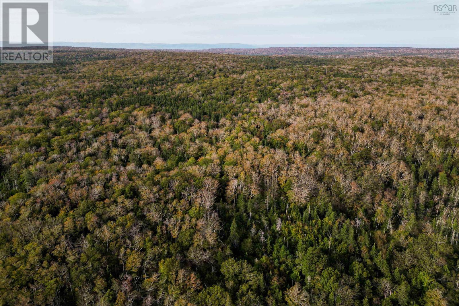 31.45 Acre Marble Mountain Road, Lime Hill, Nova Scotia  B0E 3K0 - Photo 9 - 202320317