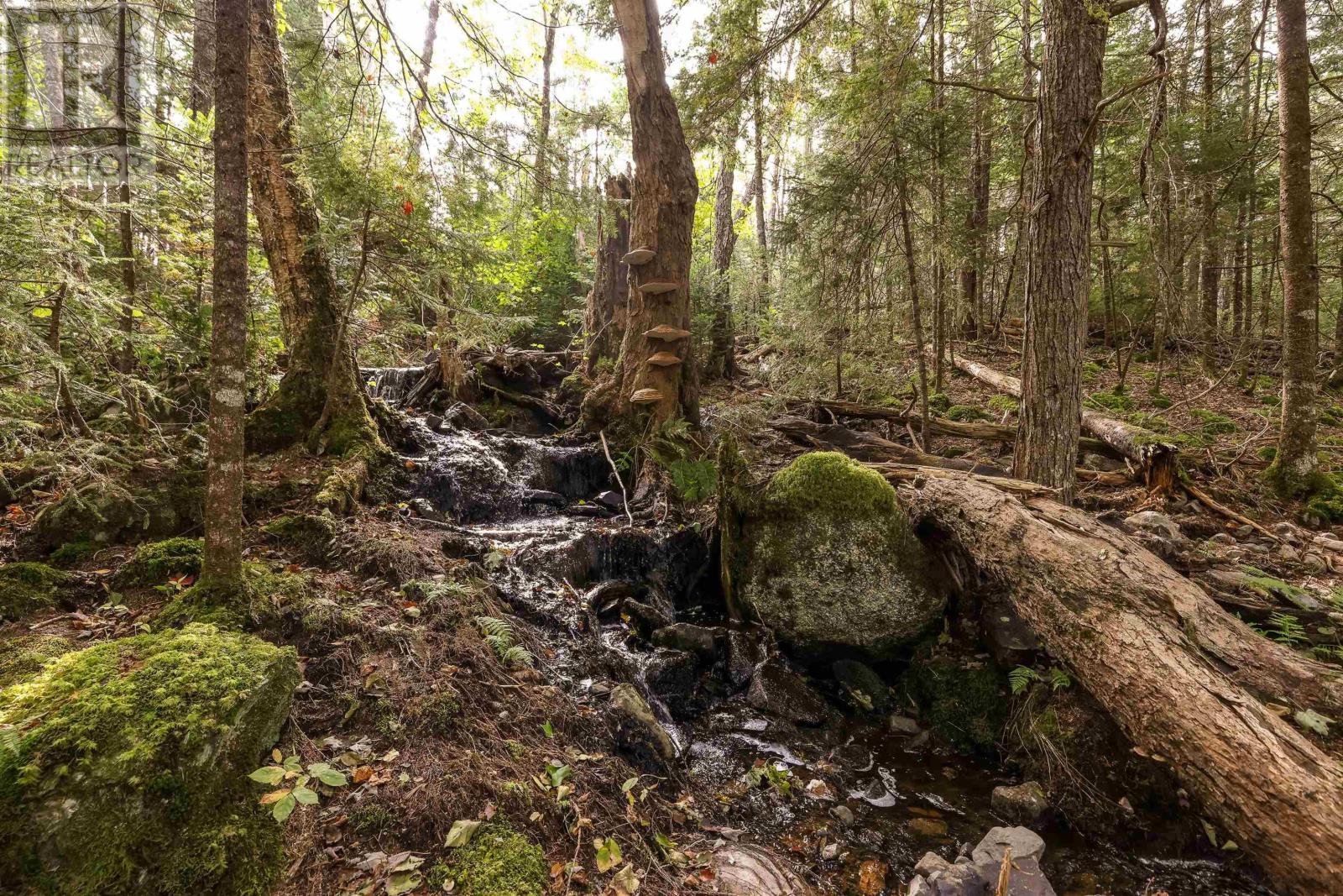 Lot 7 Stamping Mill Lane, Beech Hill, Nova Scotia  B0J 1K0 - Photo 10 - 202321082